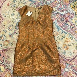Ladakh rose gold mini dress
